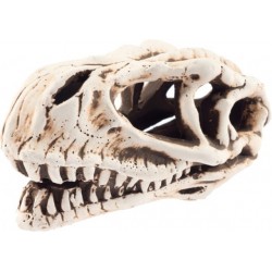 Lebka dinosaura 14cm - akva. dekorácia